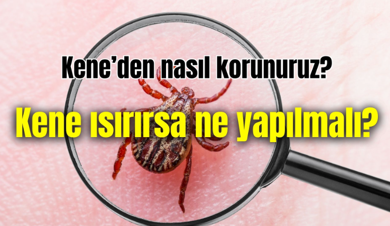 Havaların ısınmasıyla birlikte Kırım-Kongo Kanamalı Ateşi (KKKA) vakaları yeniden görülmeye