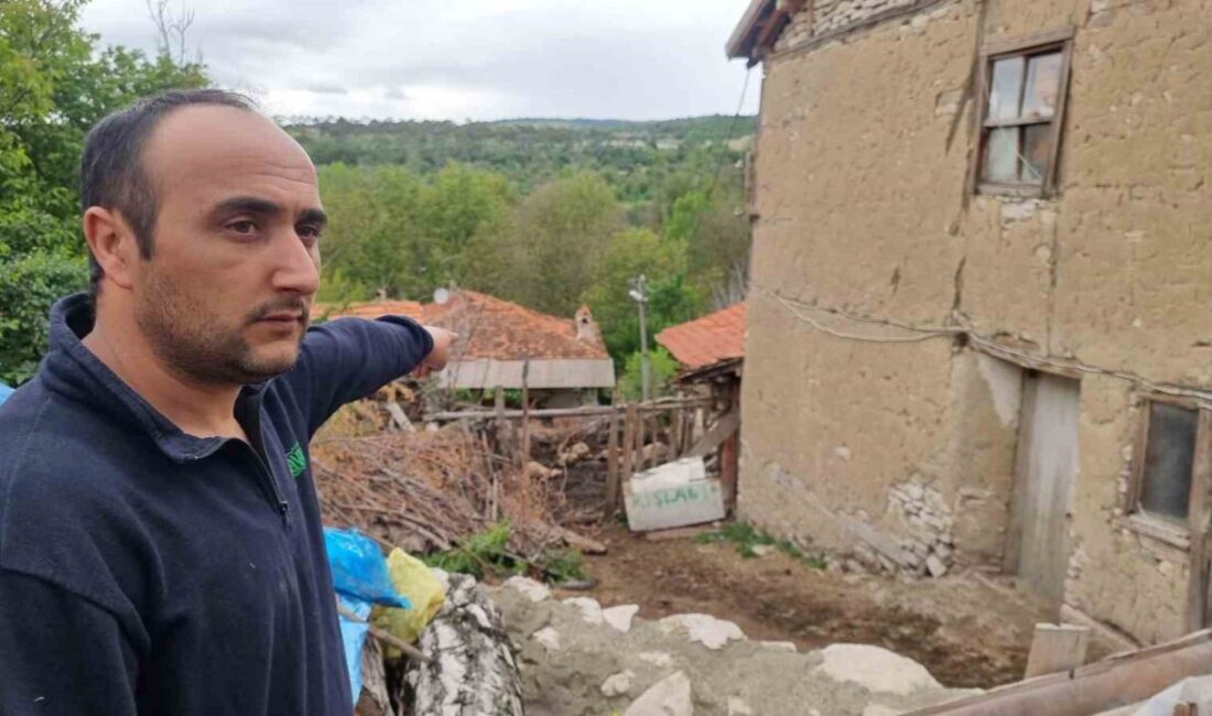 Kütahya’da kurtların saldırısında 11 koyun telef oldu Kütahya’nın Domaniç ilçesine bağlı Küçükköy’de sabaha karşı yaşanan kurt saldırısı