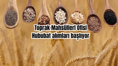  Toprak Mahsulleri Ofisi (TMO), 2025 yılı hububat alım kampanyası