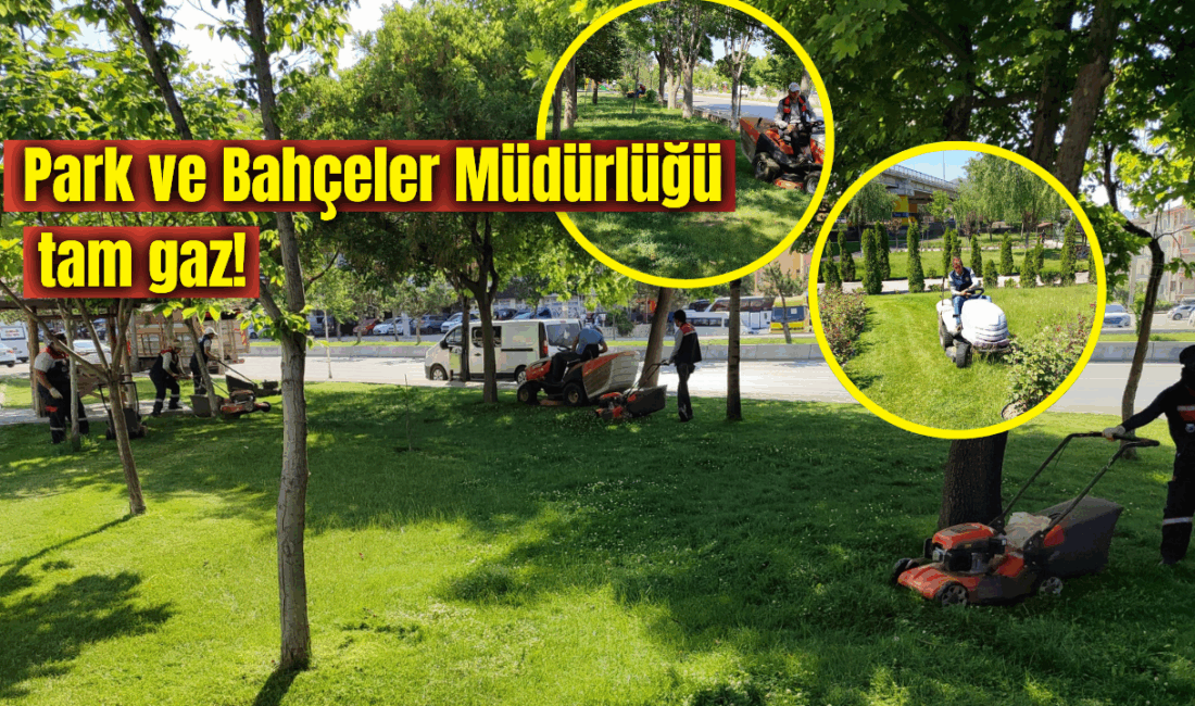 Afyonkarahisar Belediyesi Park ve Bahçeler Müdürlüğü ekipleri, şehir genelindeki park