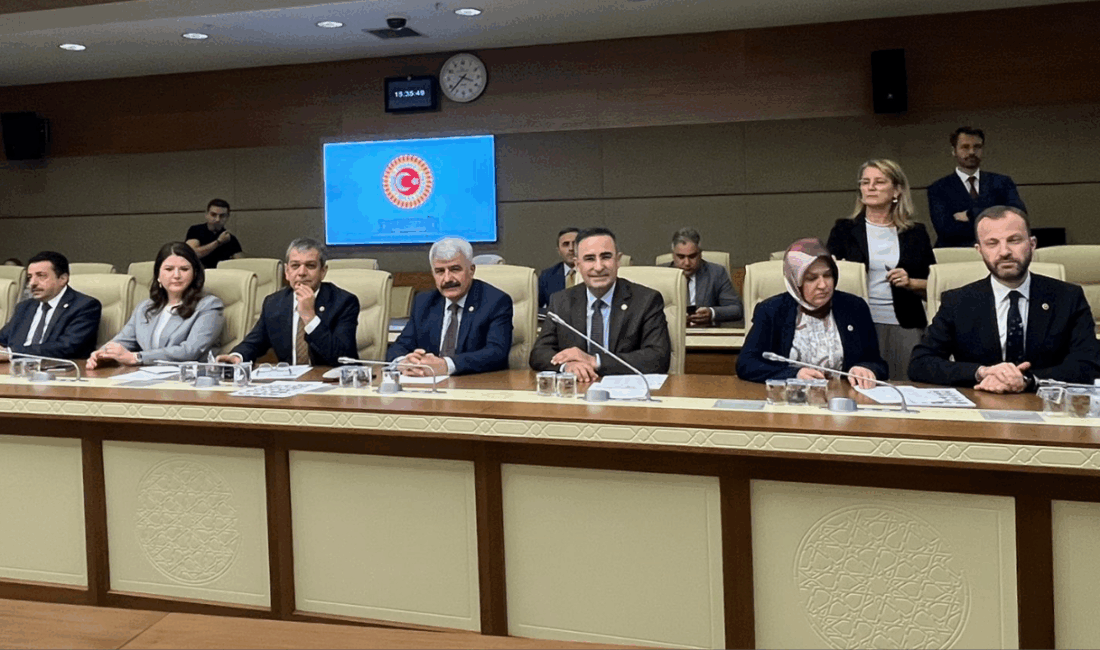 Afyonkarahisar Milletvekili Hasan Arslan, Türkiye Büyük Millet Meclisi’nde (TBMM) yeni