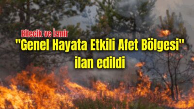 Bilecik ve İzmir, yangınlar sonrası "Genel Hayata Etkili Afet Bölgesi"