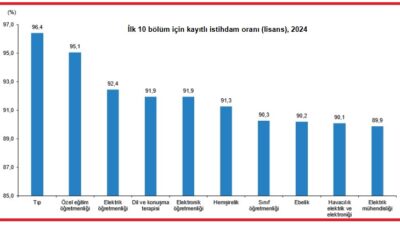 TÜİK’in yayımladığı Yükseköğretim İstihdam Göstergeleri’ bülteni raporuna göre, lisans mezunları