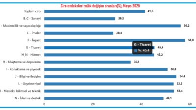 Türkiye İstatistik Kurumu (TÜİK), mayıs ayına ilişkin ciro endeksini açıkladı.