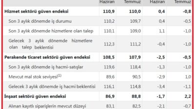Türkiye İstatistik Kurumu (TÜİK) Temmuz 2025 dönemine ait hizmet, perakende