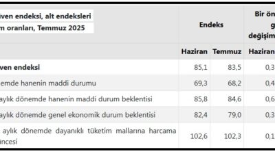 Türkiye İstatistik Kurumu (TÜİK) tarafından açıklanan temmuz ayına ilişkin Tüketici