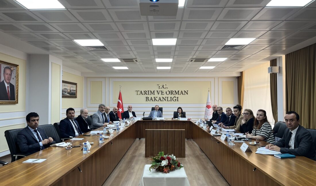 Cumhurbaşkanlığı Irak Özel Temsilcisi, Eski Orman ve Su İşleri Bakanı