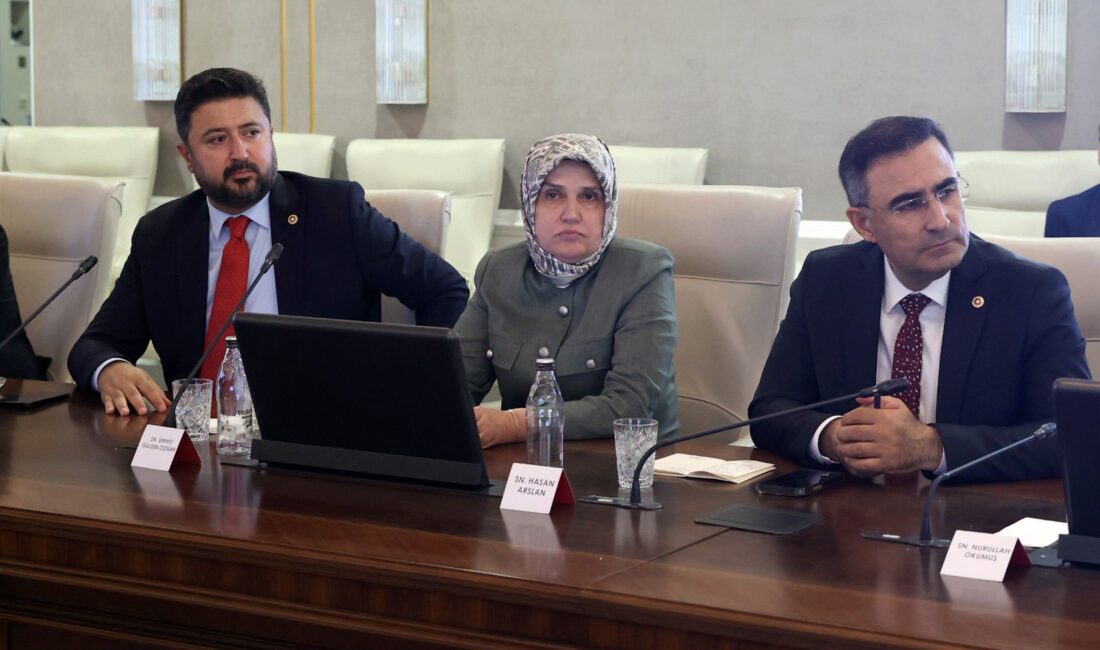 AK Parti Afyonkarahisar Milletvekili Dr. Hasan Arslan, Sağlık Bakanı Prof.