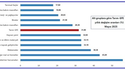 Türkiye İstatistik Kurumu (TÜİK), 2025 yılı Mayıs ayına ilişkin Tarım-Girdi