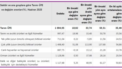 Türkiye İstatistik Kurumu'nun (TÜİK) Tarım Ürünleri Üretici Fiyat Endeksine göre,