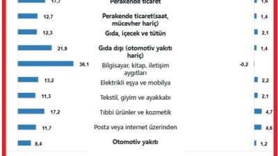 Türkiye İstatistik Kurumu (TÜİK) mayıs ayına ilişkin Ticaret Satış Hacim