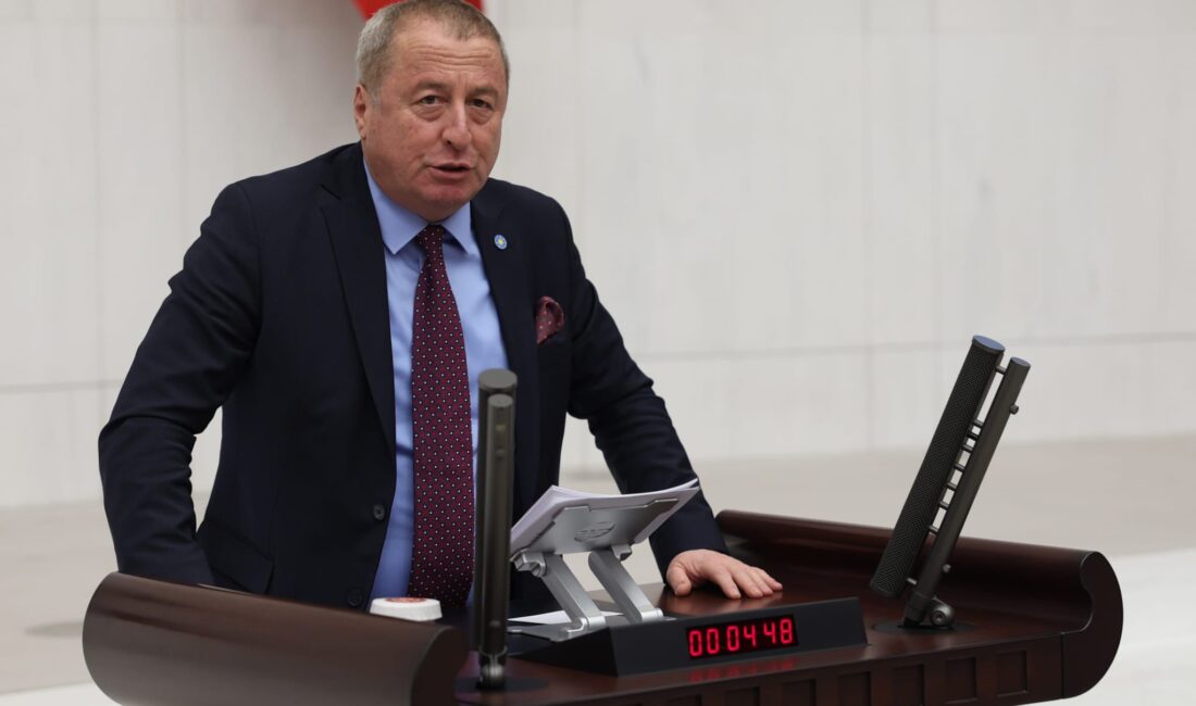 İYİ Parti Genel Başkan Yardımcısı ve Afyonkarahisar Milletvekili Hakan Şeref