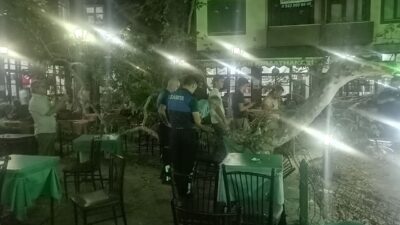 Isparta’nın Yalvaç ilçesindeki tarihi çınar ağacının dalı, çay içip sohbet