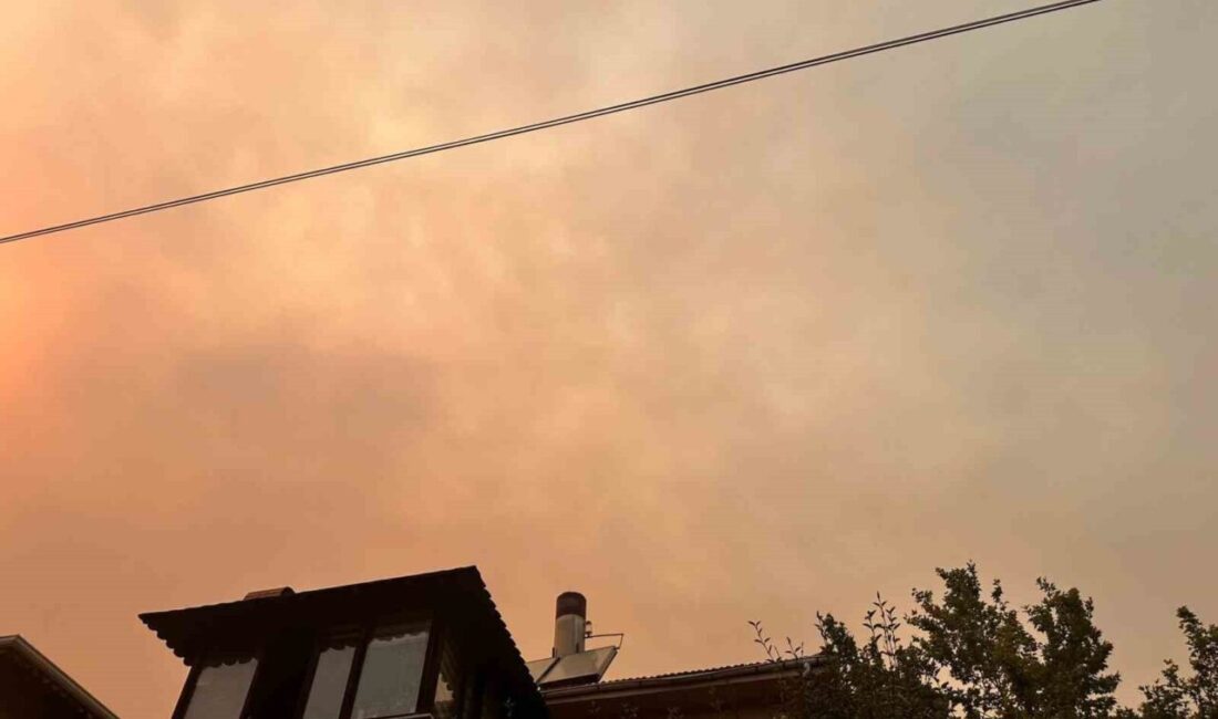Bilecik’in Osmaneli ilçesinde bağlayan ve Bayıköy beldesine yaklaşan orman yangını