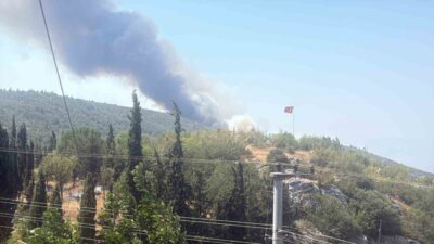 Bilecik’te 5 gün önce başlayan orman yangını bugün yerini dumanlara
