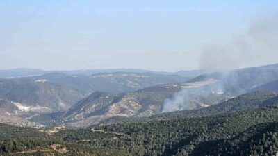 Bilecik merkeze bağlı Bekdemir köyünde çıkan orman yangını, ekiplerin söndürme