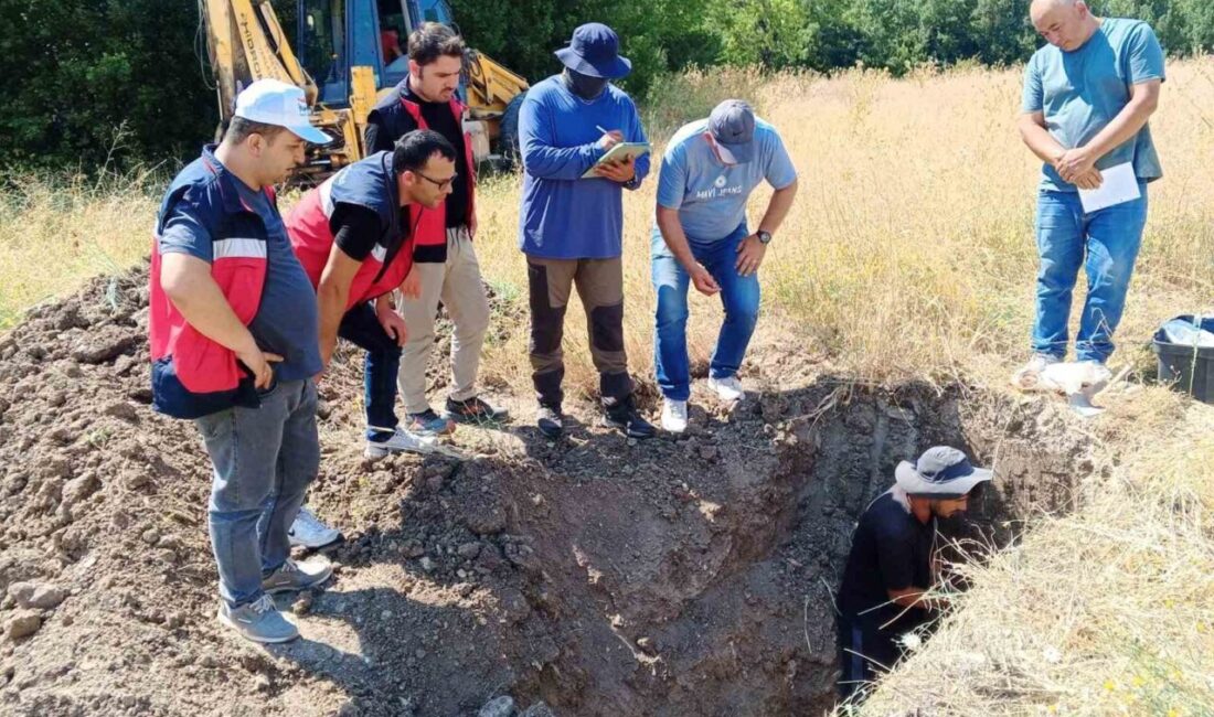 Domaniç ilçesinde TUCSAP çerçevesinde arazi uygulamaları Kütahya’nın Domaniç ilçesinde Türkiye İklim Akıllı ve Rekabetçi Tarımsal Büyüme