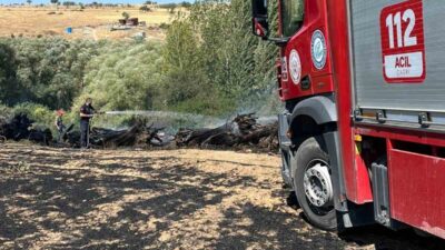 Eskişehir’de çıkan ekin yangını itfaiye ekiplerinin müdahalesiyle söndürüldü. Olay, saat