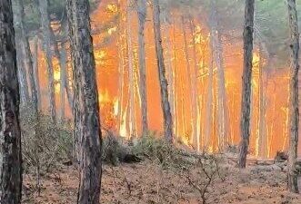 Eskişehir’in Seyitgazi ilçesinde dün yangına müdahale bir ekibin alevlerin ortasında
