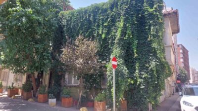 Eskişehir’de sarmaşıklar ile sarılarak hem görsel güzellik oluşturan, hem de