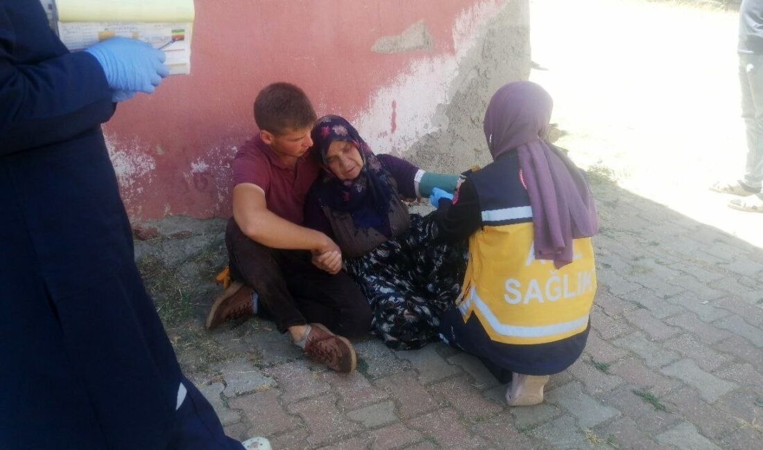 Komşusunun odunluğunun yanışını gören yaşlı kadın panikleyip baygınlık geçirdi Isparta’nın Yalvaç ilçesinde bir evin odunluğunda çıkan yangın korku dolu