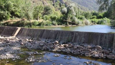 Bilecik’te Göksu Nehri üzerinde bulunan Düzmeşe Benti yaşanan kuraklığa orman