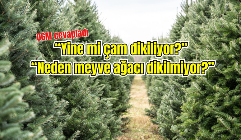 Orman Genel Müdürlüğü (OGM), yangın sonrası sosyal medyada sıkça karşılaşılan