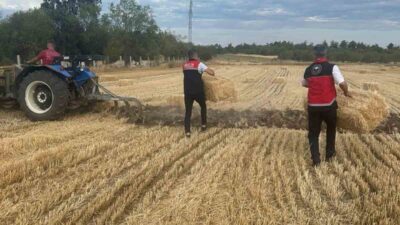 Bilecik’in Osmaneli ve Gölpazarı ilçelerinde çıkan ve beş gün süren