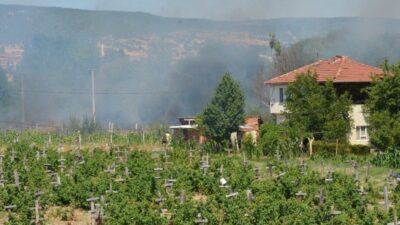 Kütahya’nın Tavşanlı ilçesinde çıkan orman yangını kontrol altına alındı. Tunçbilek