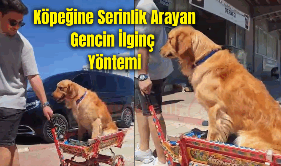 Afyonkarahisar’da bir genç, sıcak havalardan bunalan köpeğini at arabasıyla gezdirerek