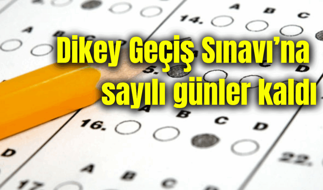 Ölçme, Seçme ve Yerleştirme Merkezi (ÖSYM) tarafından düzenlenen 2025 Dikey