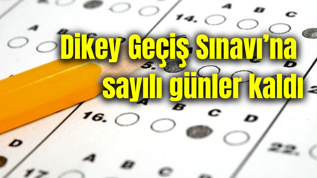Ölçme, Seçme ve Yerleştirme Merkezi (ÖSYM) tarafından düzenlenen 2025 Dikey
