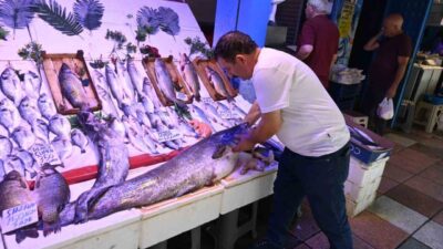 Eskişehir’de bir balıkçı tezgahında sergilenen 40 kiloluk yayın balığı ilgi