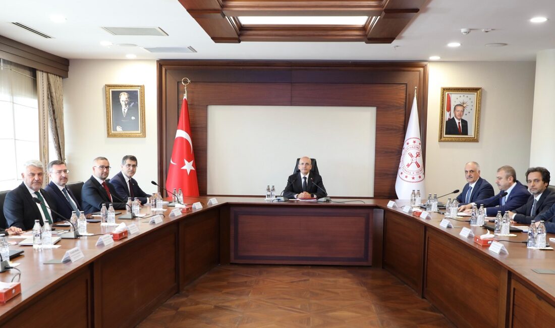 Hazine ve Maliye Bakanlığı Finansal İstikrar Komitesi, Hazine ve Maliye