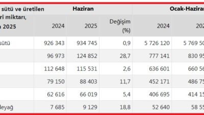Türkiye İstatistik Kurumu (TÜİK), haziran ayı Süt ve Süt Ürünleri