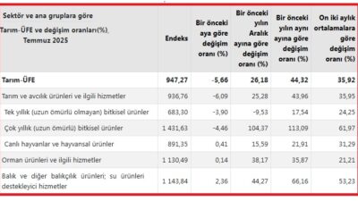 Türkiye İstatistik Kurumunun (TÜİK)açıkladığı temmuz ayına ilişkin Tarım ürünleri üretici