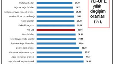 Türkiye İstatistik Kurumu (TÜİK), temmuz ayıYurt Dışı Üretici Fiyat Endeksi