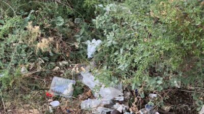 Bilecik’te alkol alan şahısların mekanı haline gelen yol adeta çöplüğe