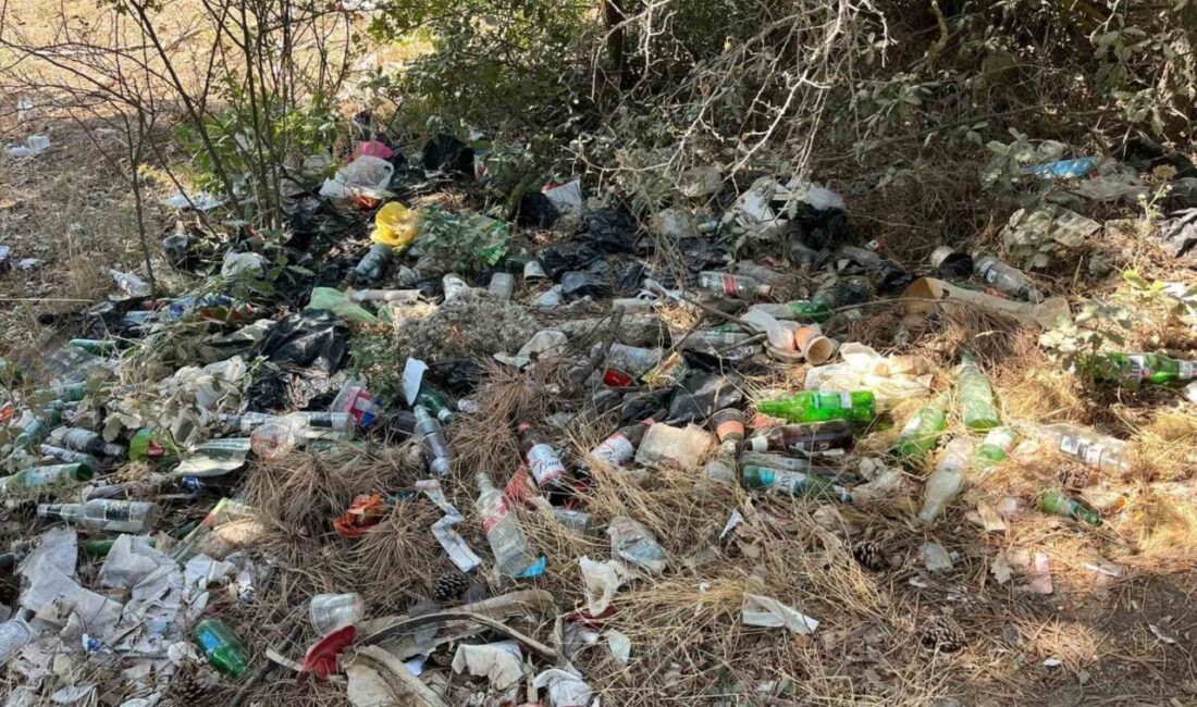 Alkol alanlar şehrin göbeği çöplüğe çevirdiler Bilecik’te alkol alan şahısların, atıkları ile ormanlık alanı adeta çöplüğe