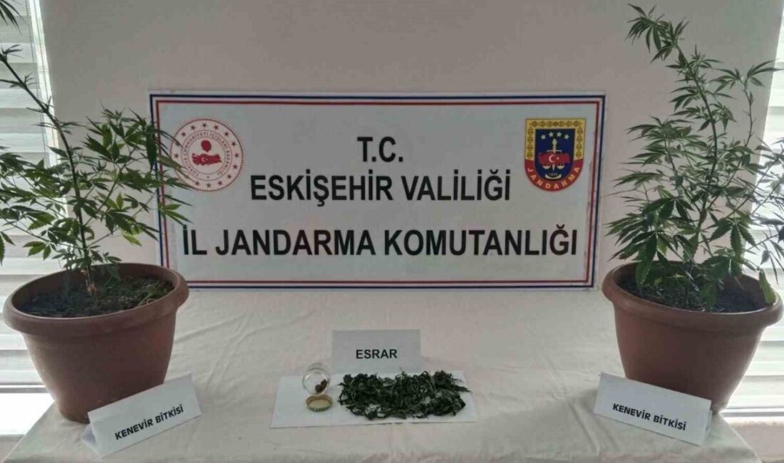Balkondaki saksıların içinde 2 kök kenevir ve 47 gram esrar maddesi ele geçirildi Eskişehir’de jandarma ekiplerince evinin balkonundaki saksıların içinde 2 kök kenevir