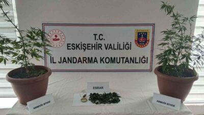Eskişehir’de jandarma ekiplerince evinin balkonundaki saksıların içinde 2 kök kenevir