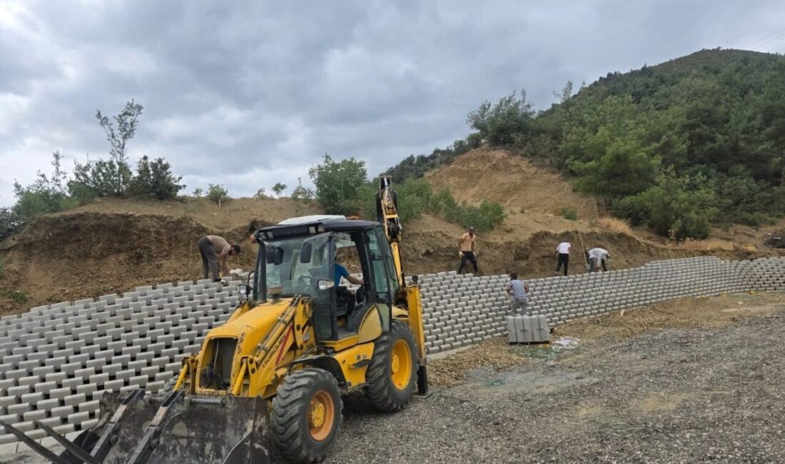 Bilecik merkeze bağlı Bayırköy beldesinde bulunan mesire alanında düzenleme çalışmaları