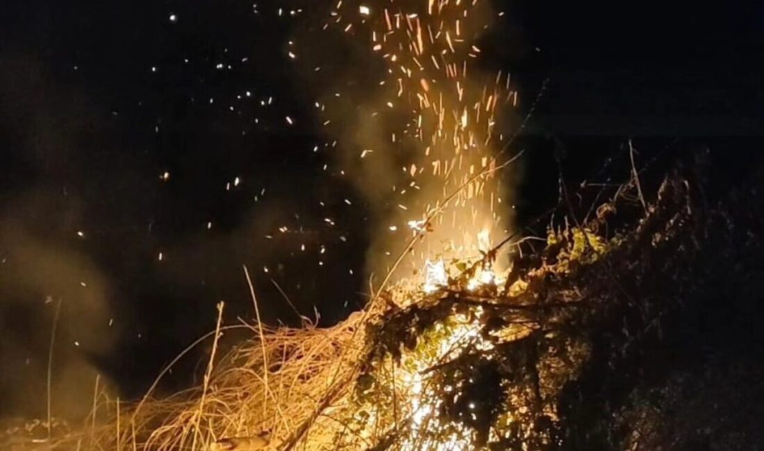 Bilecik’in Bayırköy beldesinde meydana gelen anız yangını kısa sürede kontrol