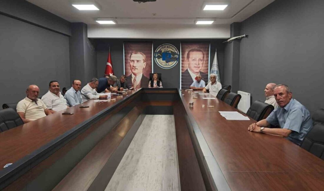Bilecik’in Pazaryeri ilçesinde alınan belediye meclisi kararıyla, ilçedeki tüm park