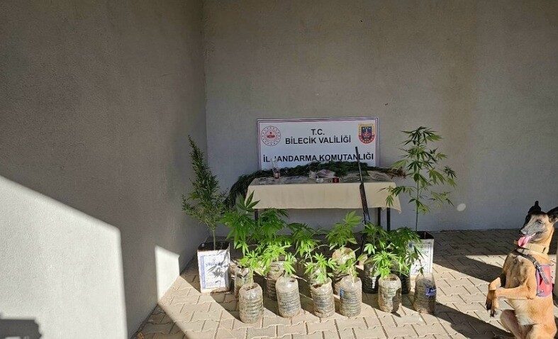 Bilecik İl Jandarma Komutanlığı, Pazaryeri ilçesinde gerçekleştirilen operasyonda, bir şahsın