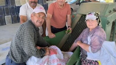 Afyonkarahisar’ın Dinar ilçesinde merkeze bağlı olan köylerde turşu yapımında kullanılmak