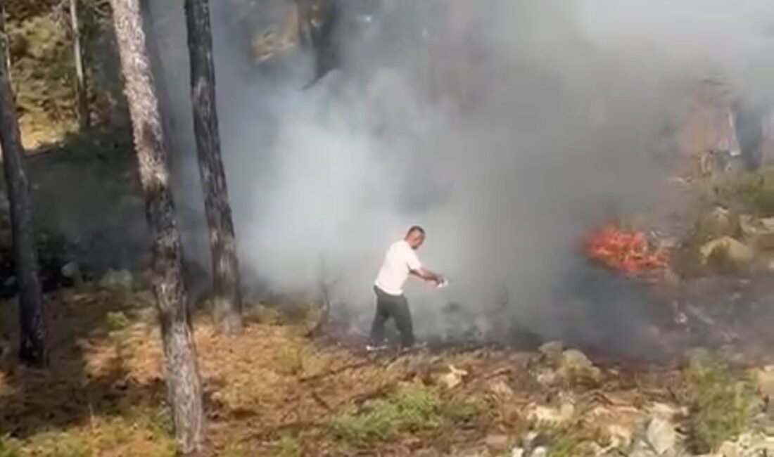 Duyarlı vatandaşlar sayesinde yangının büyümesini önlendi Bursa’nın Harmancık ilçesi yakınlarında geçtiğimiz günlerde çıkan ve dört gün