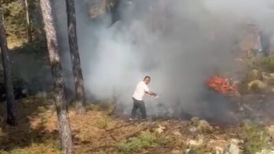 Bursa’nın Harmancık ilçesi yakınlarında geçtiğimiz günlerde çıkan ve dört gün