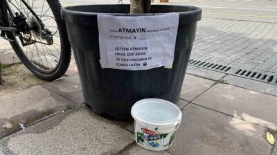 Eskişehir’de hayvansever bir vatandaşı su koyduğu kabın sürekli çöpe atılması