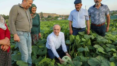 Eskişehir İl Tarım ve Orman Müdürü Yüksel Çil, Tepebaşı ilçesinde